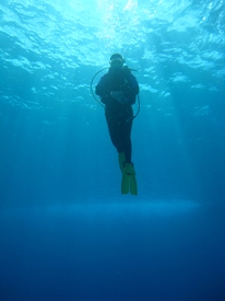 Diving in Cozumel, Mexico